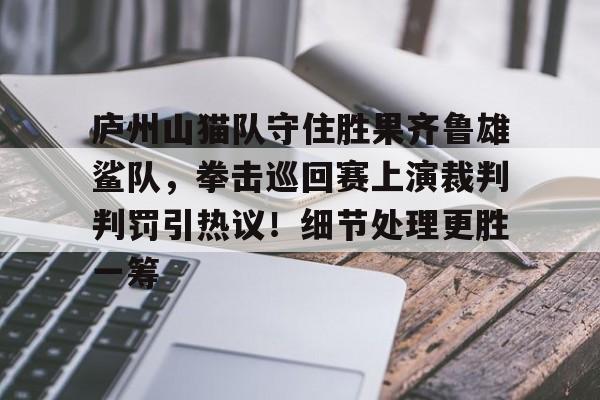 庐州山猫队守住胜果齐鲁雄鲨队，拳击巡回赛上演裁判判罚引热议！细节处理更胜一筹的简单介绍